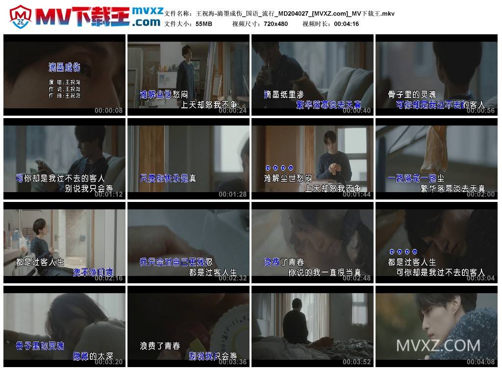 王祝海-滴墨成伤_国语_流行_MD204027